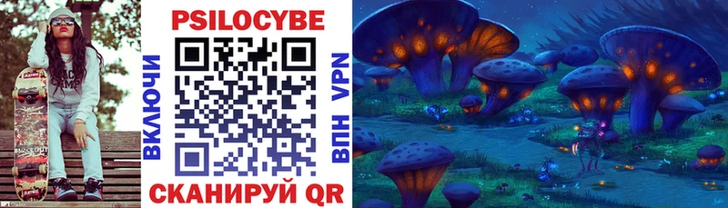 Галлюциногенные грибы Psilocybine cubensis Амурск